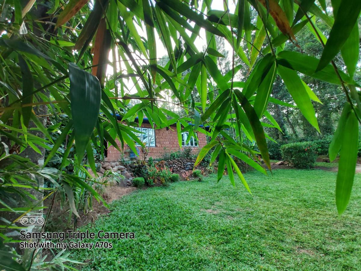 The Dream Apartment Sanivarsante ภายนอก รูปภาพ