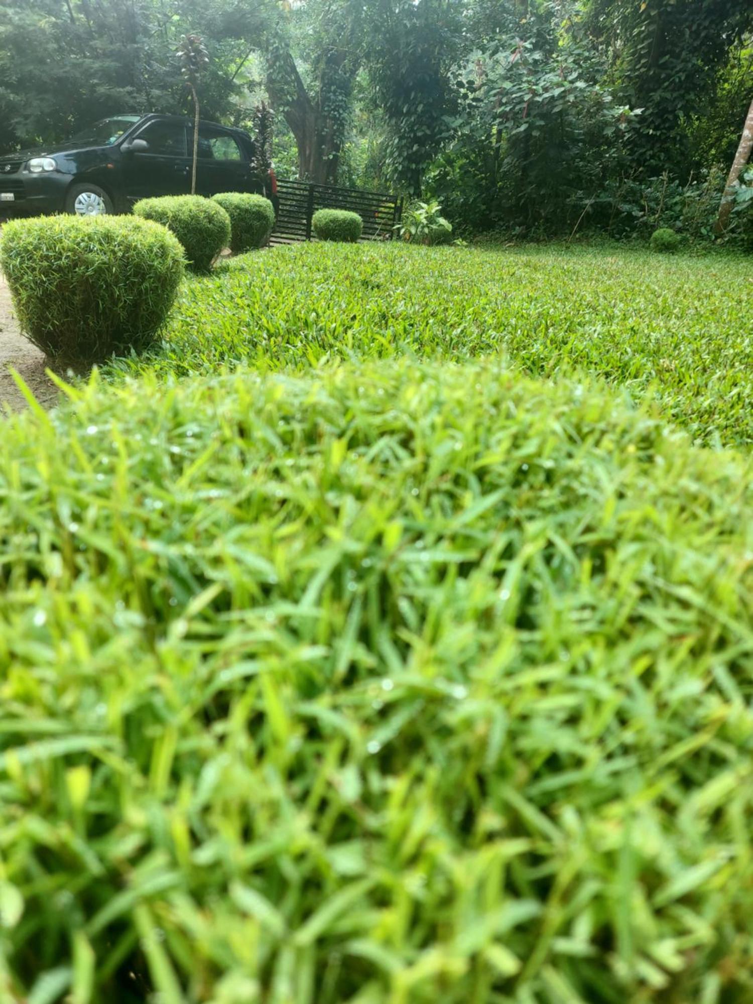 The Dream Apartment Sanivarsante ภายนอก รูปภาพ